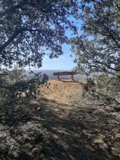 Casa Esther and Pepe VUT LE884 - 4