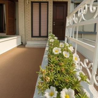 StudioAretiCom Anogio with private Veranda In Front Of The Lovely Sea For Rent in Nea Plagia Chalkidiki Greece PlagiaStudiosEu - 0