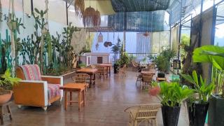 Amikaje Farm - Ấp Xuân An - 9