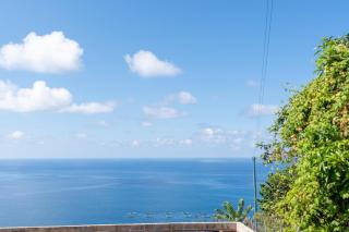 Casa Santos- Arco da Calheta - Arco da Calheta - 9