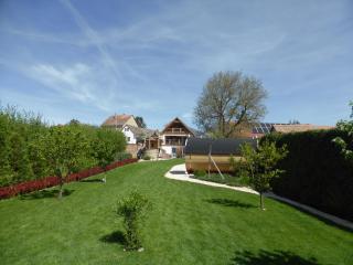 Beck's Borveranda Palkonya - 6