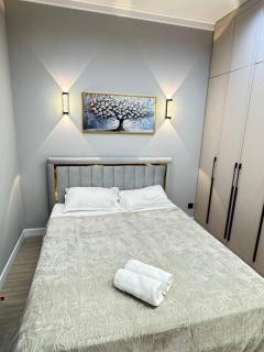 1 комнатная meridian apartments - 8