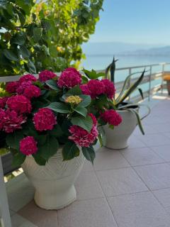 Vila Popovi - Dojran - 8