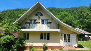 Casa de vacanta Julius - Padis - 9