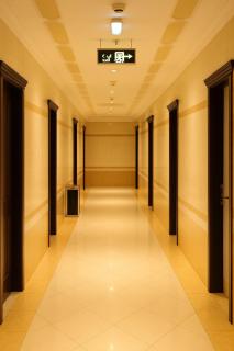 Dream Palace Hotel - Adschman - 1