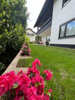 Familienglück im Odenwald - Grasellenbach - 7