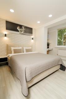 Cozy Stay in the Heart of City 1BR and Living Extendable sofa - Chişinău - 1