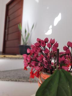 Casa Bastos - Lençóis - 7
