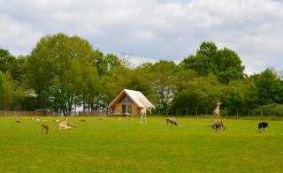 Les Lodges Du Reynou - Le Vigen - 7