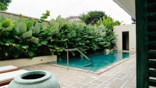 The Bloom Saffron - 4