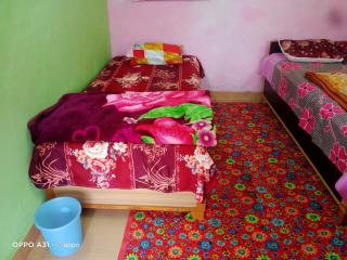 Pinaki home stay - Gopeshwar - 2