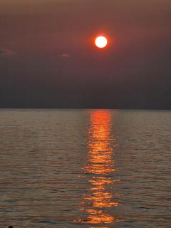 Sunny Beach Hotel - 1