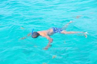 Snorkeling boat tour in Punta Cana - Punta Cana - 9