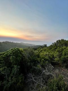 Casa Bosque Olas de Buchupureo - 6