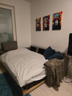 Helsinki City or Airport 16min, convenience place - Vantaa - 9