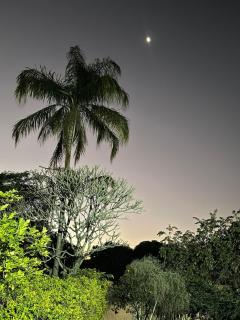 Chácara em Sao Pedro SP - São Pedro - 5