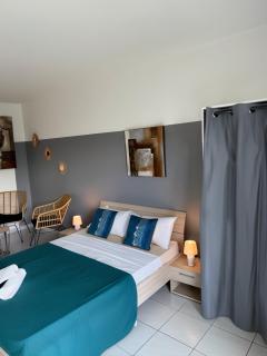 Spacious studio - centre ville - Cayenne - 9