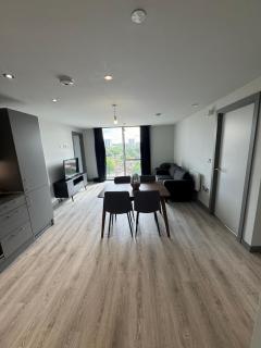 Cozy City 2 Bed 2 Bath with Netflix and views - Birmingham - 9