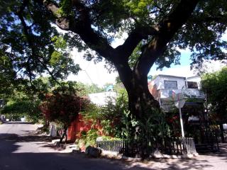 CasaEcoPaz ParqueCentralMusica CapitalNeiva Huila Colombia SouthAmerica - Neiva - 1