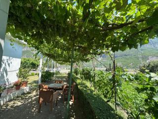 Guesthouse the peaceful of Koman - - 8