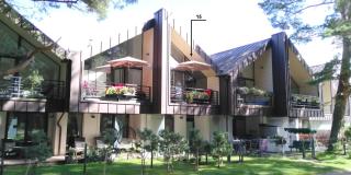 Pušynas prie jūros - Palanga - 5