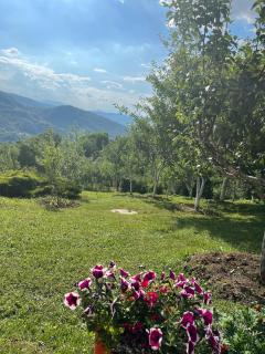 Semizovac Holiday House - - 8