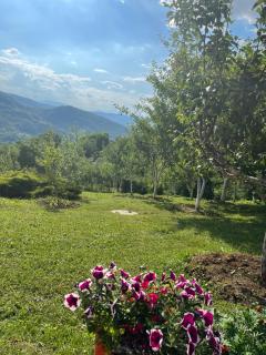 Semizovac Holiday House - - 1