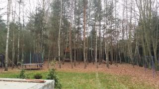 Leśny dom wypoczynkowy z dużym ogrodem - - 3
