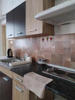 Išić apartmani - Veliko Gradiste - 7