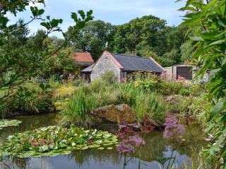 Wee Cordorcan - Uk5890 - Bargrennan - 0