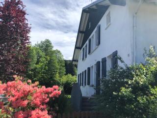 Les Coteaux - Gérardmer - 1