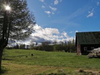 Stugan Svenstorp 2 - Reftele - 7