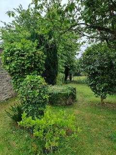 Spacieuse maison de village avec jardin - 0