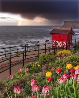 Captains Rest - Saltburn-by-the-Sea - 2