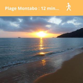 Cocon Montabo - proche plage - Cayenne - 4