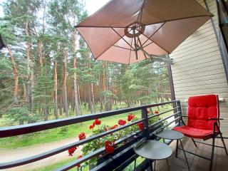Pušynas prie jūros - Palanga - 7