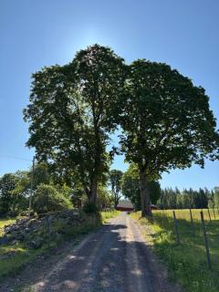 Hjortkullen - Vimmerby - 3