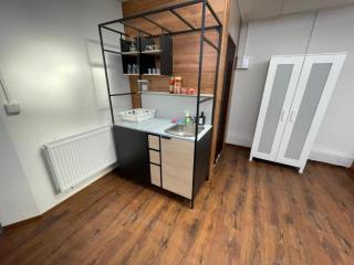 Apartmans Turgenevova - Ostravska with FREE parking - Golčŭv Jeníkov - 9