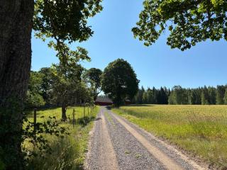 Hjortkullen - Vimmerby - 4