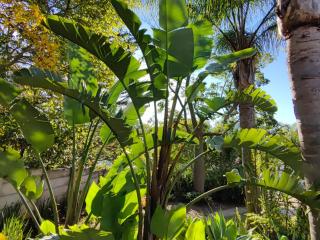 Amatola Mountain View - 1