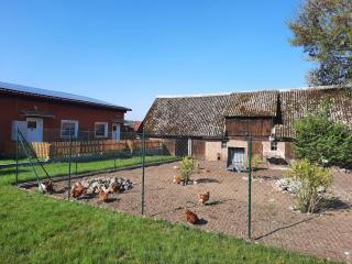 Ferienhaus am Vilzsee, Mirow - 4