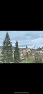 Zimmer für 2 Monteure in Heppenheim Kirschhausen - Kirschhausen - 1