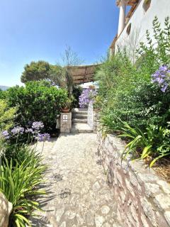 Casa Laboccetta - Capri - 6