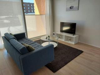 Spacious Apartment for 5 with Sauna - Oulu - 9