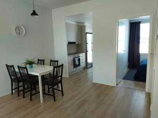 Spacious Apartment for 5 with Sauna - Oulu - 8