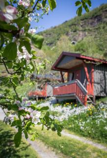 Pluscamp Sandvik - Gaupne - 8