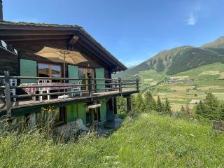 Chalet cosy, vue Alpes, cheminée & grande terrasse - Liddes - 8