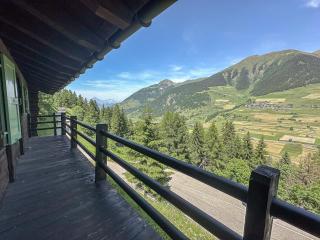 Chalet cosy, vue Alpes, cheminée & grande terrasse - Liddes - 9