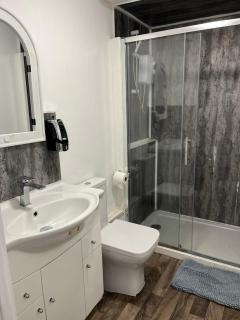 Old style room near Singleton Hospital sleeps three - Swansea - 3