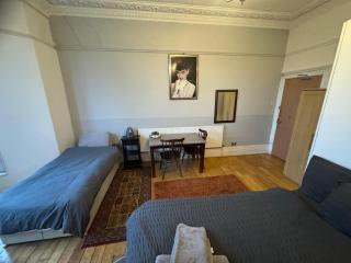 Old style room near Singleton Hospital sleeps three - Swansea - 2